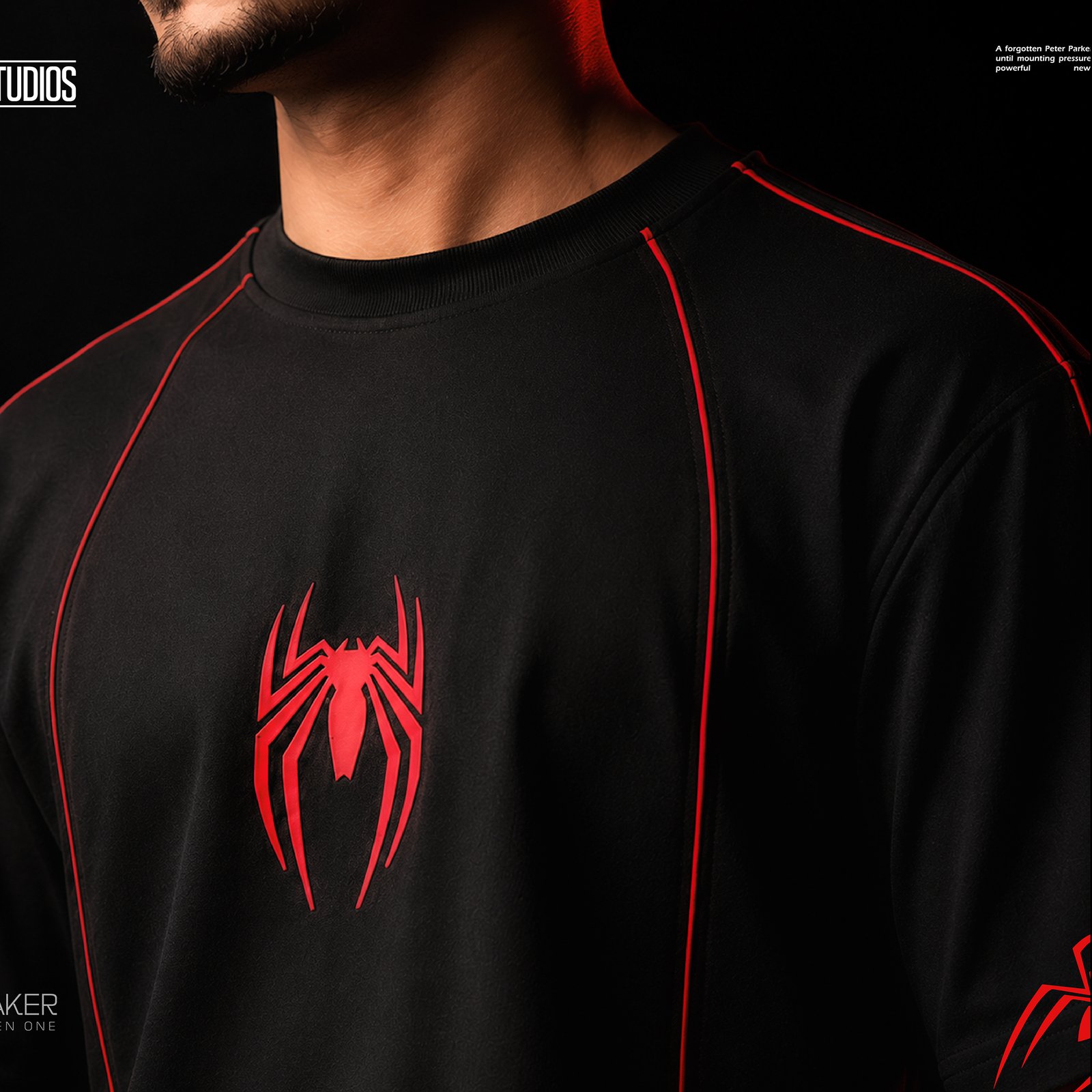 Spiderman - Concept 5 product image 2
